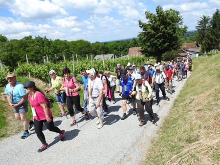 Pomlad v prleških goricah 2017 98